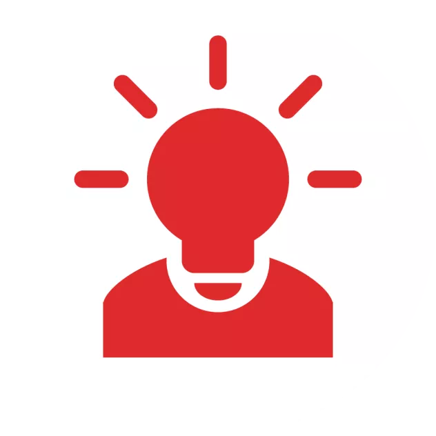 IT Consulting